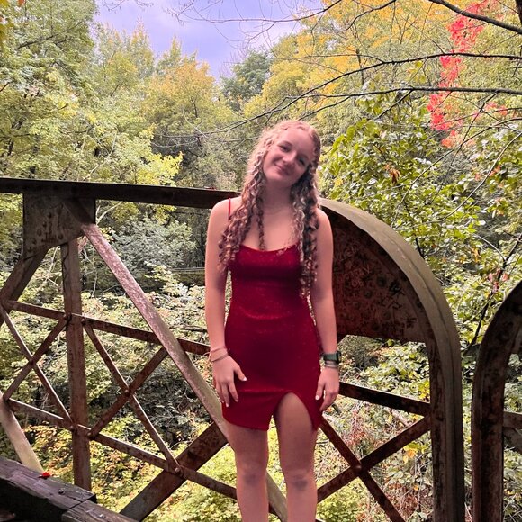 Spring Dress - Picture 2 of 3